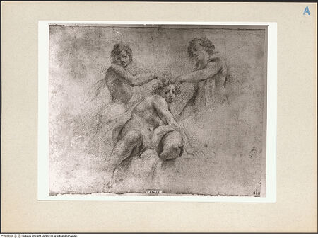 Vorderseite von bh244469_recto