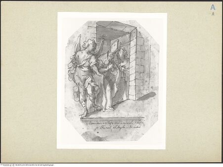 Vorderseite von bh245035_recto