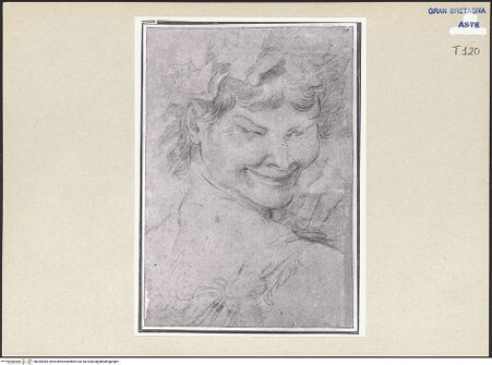 Vorderseite von bh245044_recto