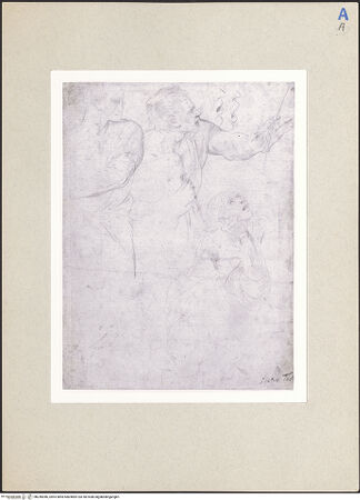 Vorderseite von bh245046_recto