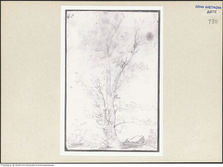 Vorderseite von bh245057_recto