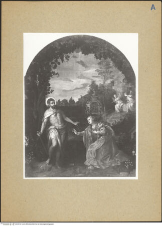 Vorderseite von bh245181_recto