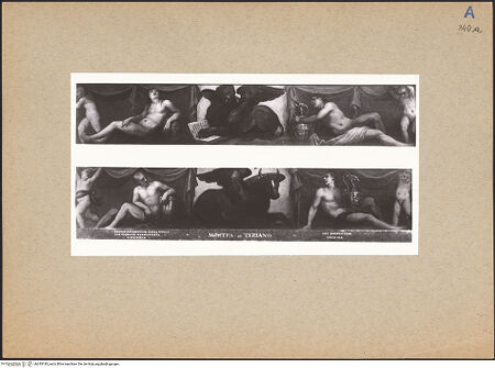 Vorderseite von bh245183_recto