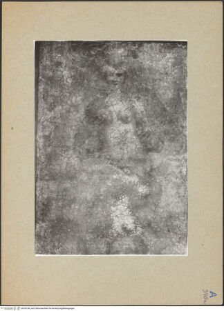 Vorderseite von bh245184_recto