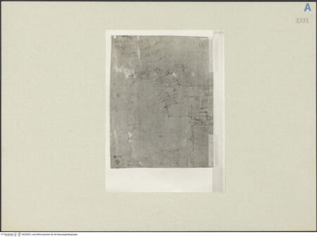 Vorderseite von bh245201_recto