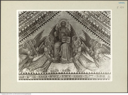 Vorderseite von bh245231_recto