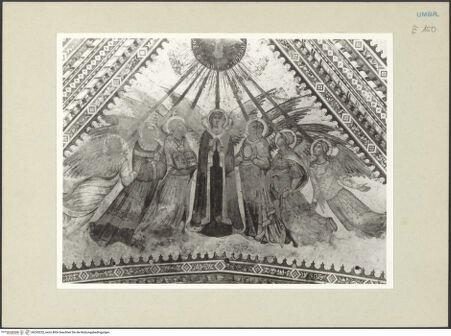 Vorderseite von bh245232_recto