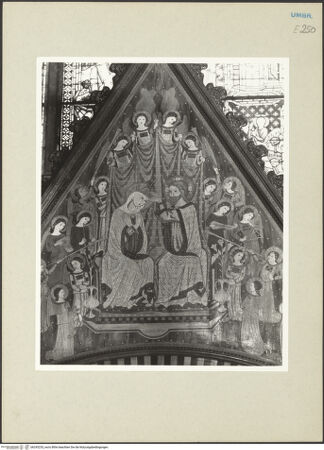 Vorderseite von bh245235_recto