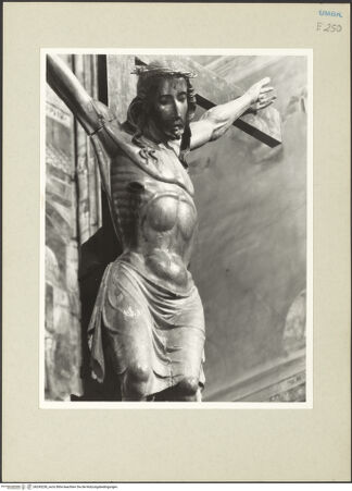 Vorderseite von bh245238_recto