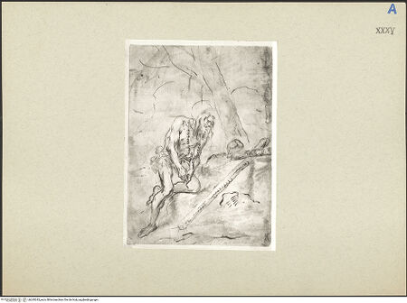 Vorderseite von bh245243_recto