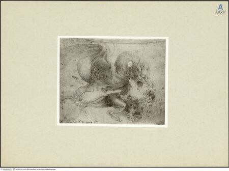 Vorderseite von bh245245_recto