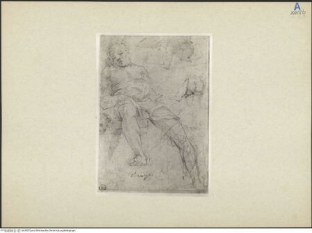 Vorderseite von bh245257_recto