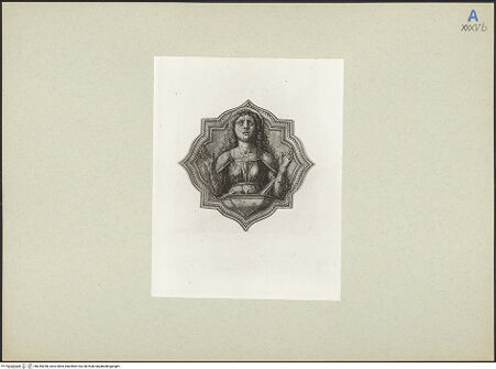 Vorderseite von bh245258_recto