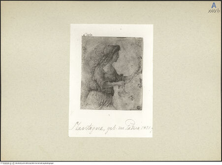 Vorderseite von bh245260_recto