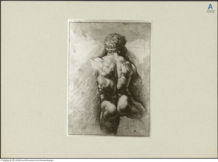 Vorderseite von bh245264_recto