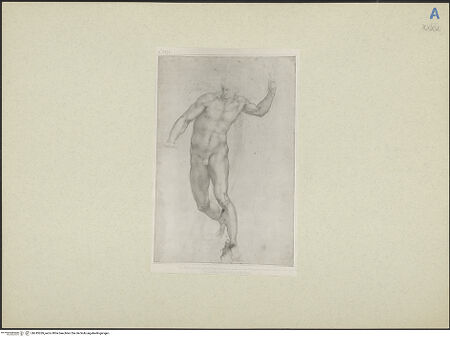 Vorderseite von bh245269_recto