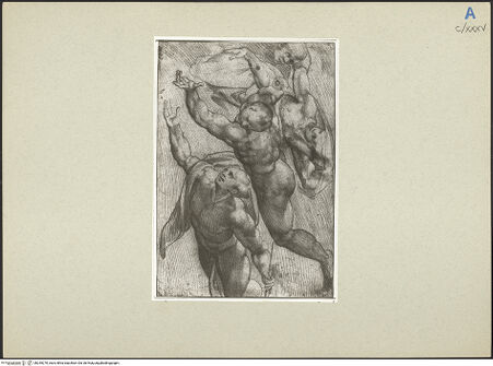 Vorderseite von bh245270_recto