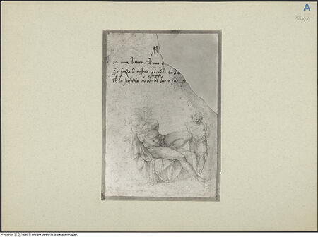 Vorderseite von bh245271_recto