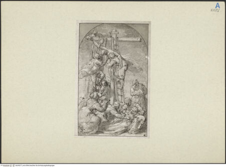 Vorderseite von bh245277_recto