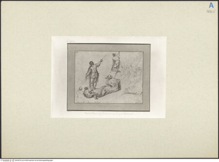 Vorderseite von bh245278_recto