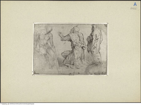 Vorderseite von bh245283_recto