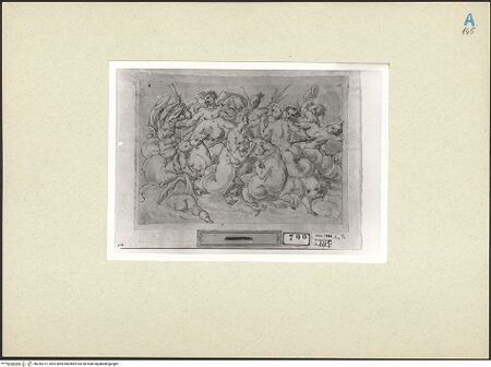 Vorderseite von bh245372_recto