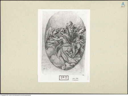 Vorderseite von bh245373_recto