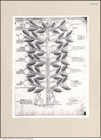 Vorderseite von bh245387_recto