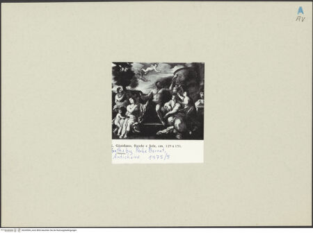 Vorderseite von bh245500_recto