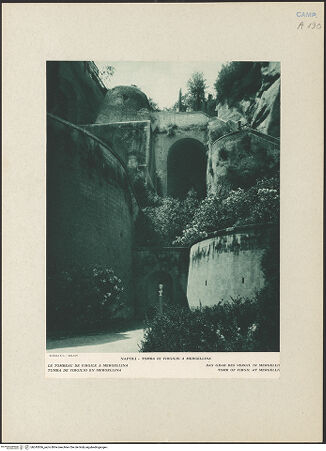 Vorderseite von bh245506_recto