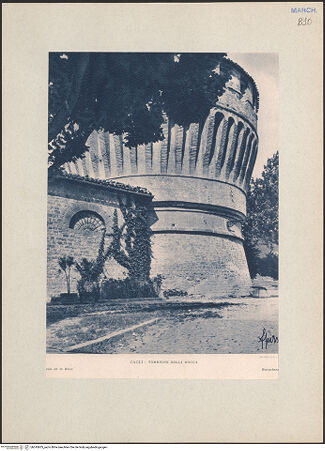 Vorderseite von bh245605_recto