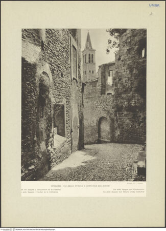 Vorderseite von bh245634_recto