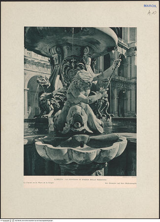 Vorderseite von bh245636_recto