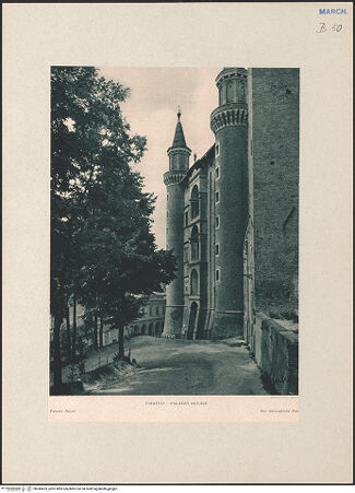 Vorderseite von bh245653_recto