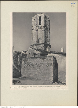 Vorderseite von bh245689_recto