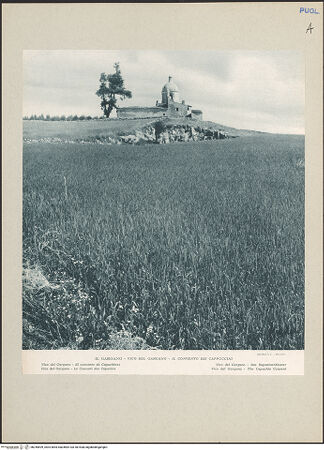 Vorderseite von bh245699_recto