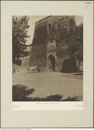 Vorderseite von bh245730_recto