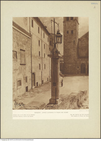 Vorderseite von bh245733_recto