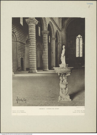 Vorderseite von bh245736_recto