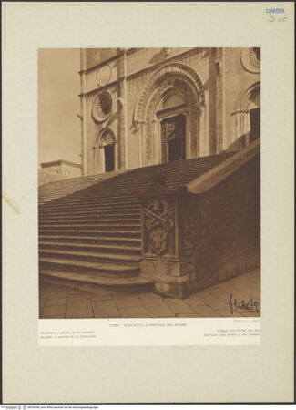 Vorderseite von bh245748_recto