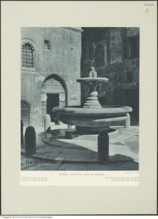 Vorderseite von bh245755_recto