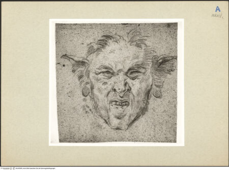 Vorderseite von bh245989_recto