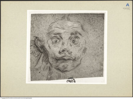 Vorderseite von bh245990_recto