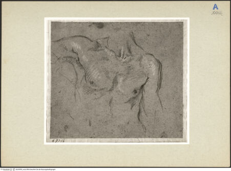 Vorderseite von bh245992_recto