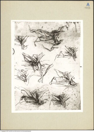 Vorderseite von bh245994_recto