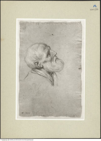 Vorderseite von bh246002_recto