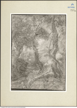 Vorderseite von bh246009_recto