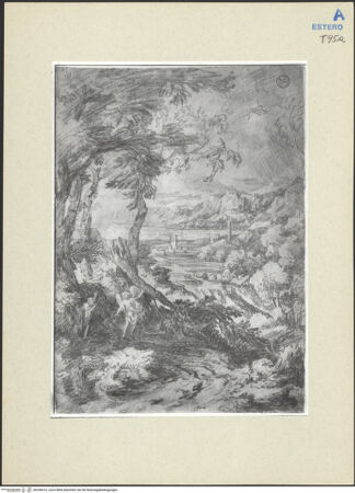 Vorderseite von bh246010_recto