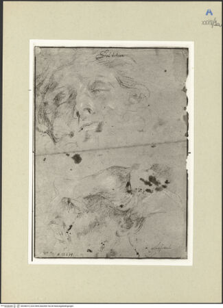 Vorderseite von bh246014_recto