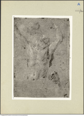 Vorderseite von bh246022_recto